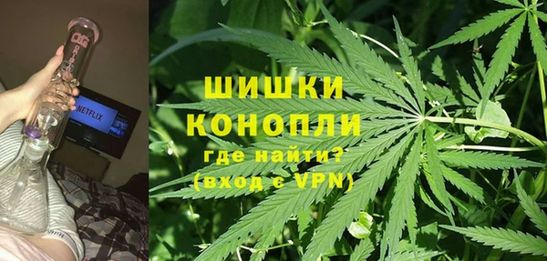 2c-b Костерёво