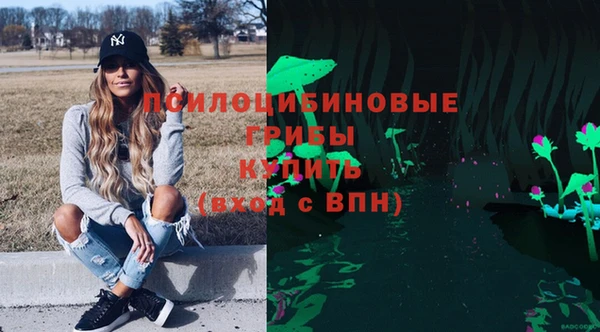 2c-b Костерёво