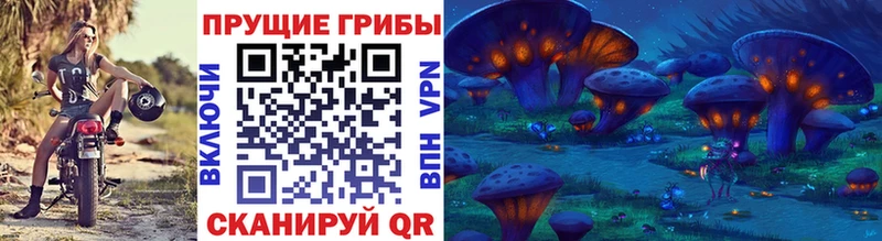 Купить закладки  Аргун  Псилоцибиновые грибы Psilocybine cubensis 
