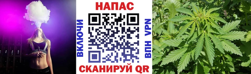 Купить  Аргун  Канабис гибрид 
